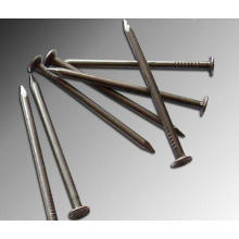 Construção de alta qualidade Common Round Nails